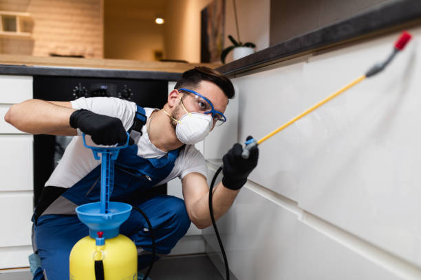 Best Pest Inspection Near Me  in Medina, TX
