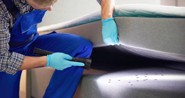 Best Commercial Pest Control Services  in Medina, TX