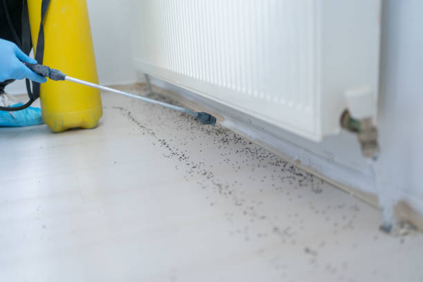 Best Affordable Pest Control Services  in Medina, TX