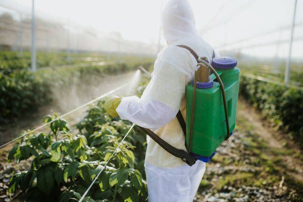 Best Mosquito Control Services  in Medina, TX